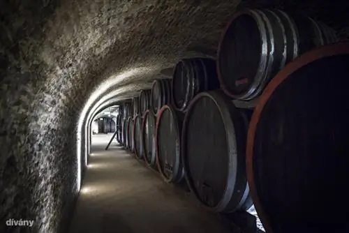 Аббаты не гнушались вина, в 2001 году они попросили Тибора Галя, винодела из Эгера, пересмотреть судьбу своих 50 гектаров