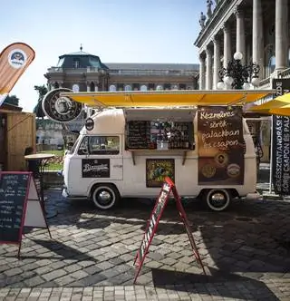 Пивной фестиваль с экспериментом на людях