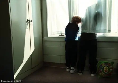 Наши фотографии - это иллюстрации!