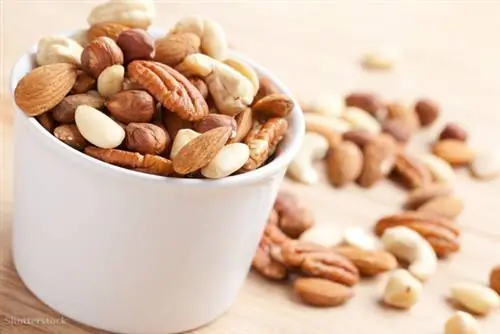 жалюзи 62895991