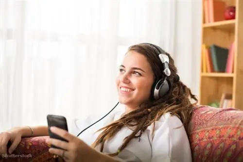 затвор 226539883