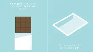 На одну плитку шоколада уходит 1700 литров воды