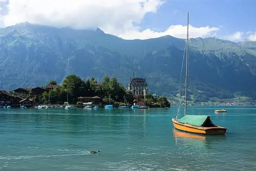 Большой синий