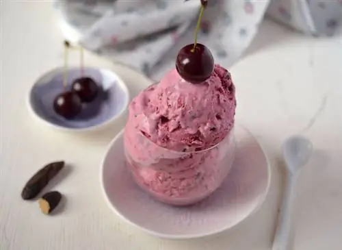 Вишневое мороженое