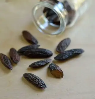 Настоящая чудодейственная специя: бобы тонка