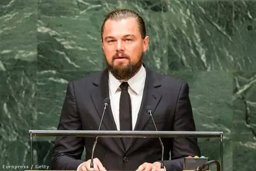 Леонардо ДиКаприо - коллекционер произведений искусства и защитник окружающей среды Леонардо ДиКаприо - коллекционер произведений искусства и защитник окружающей среды