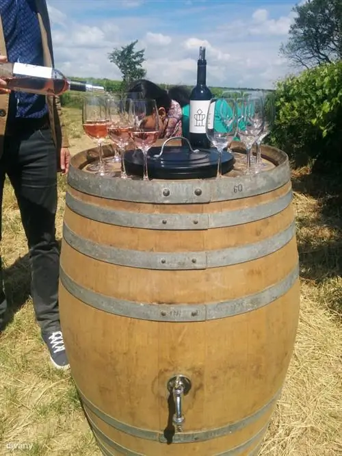 Такая вот дегустация на винограднике