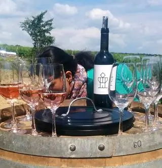 Если вы любите вино, съездите в район Балф