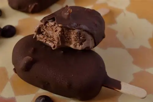 Шоколадный Магнум2