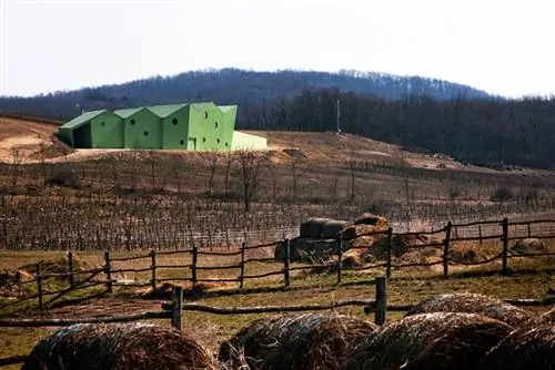 «Участок, выбранный для строительства завода по производству виноградного сока, находится на границе Дьёруйбарата между участками виноградников с кордонной культурой. В пределах возделываемой территории это самая заметная высота, с которой просматривается окружающая местность и с которой видны разрозненные части поселения."