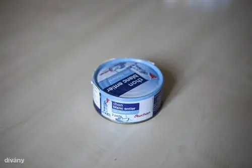 Консервированный тунец-альбинос, также собственная торговая марка Auchan Консервированный тунец-альбинос, также собственная торговая марка Auchan