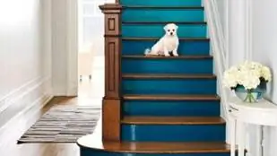 10 цветов, которые стоит использовать для осеннего украшения дома