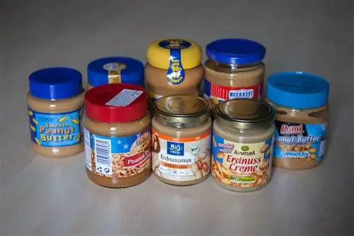 Без арахисового масла можно жить, но почему?