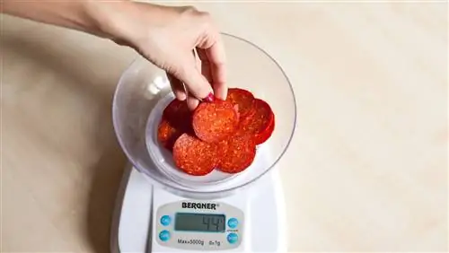Вот так выглядят 50 грамм переработанного мяса