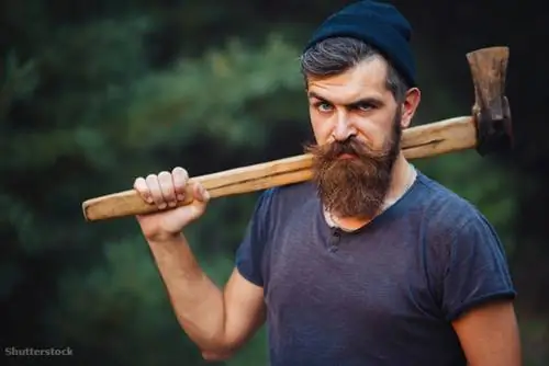 жалюзи 329194019 жалюзи 329194019
