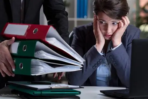 жалюзи 247390171