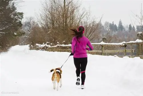 жалюзи 153984920