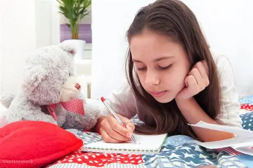 жалюзи 277330802