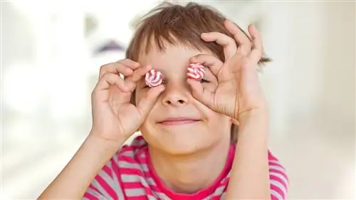 Сахар так же вреден для развития мозга, как злоупотребление им