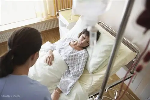 жалюзи 145175065 жалюзи 145175065