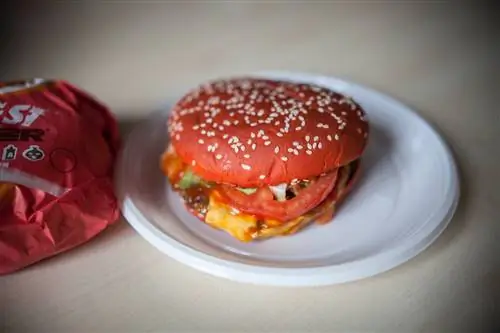 Блестящий тест: Burger King шокировал нас красным гамбургером