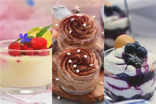 20 стеклянных десертов, которые вам понравятся