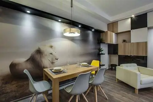 На фото: Александра Щук. Дизайн: Тюнде Жолтай