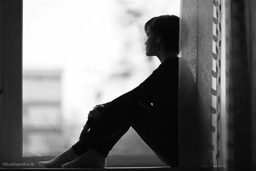 жалюзи 167533097