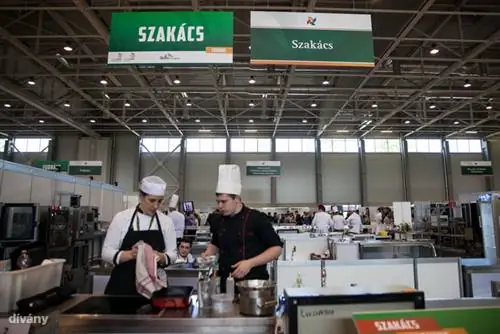 С 18 по 20 апреля в Hungexpo проходил конкурс профессий С 18 по 20 апреля в Hungexpo проходил конкурс профессий