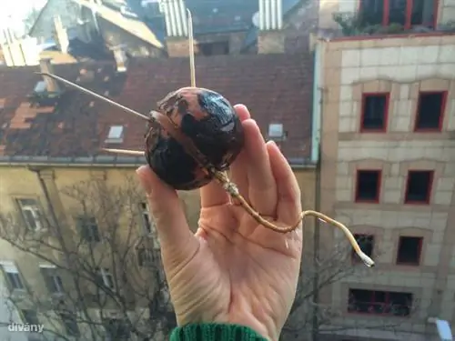 Изображение Изображение