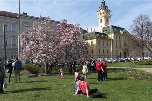 Весенний парк перед мэрией Сегеда Весенний парк перед мэрией Сегеда