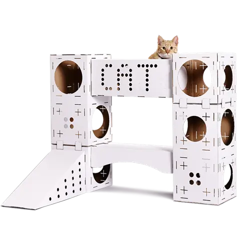 Переместите свою кошку в Белый дом