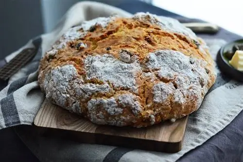 DSC 0284 маленький