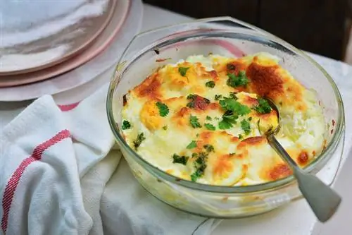 DSC 0462 маленький