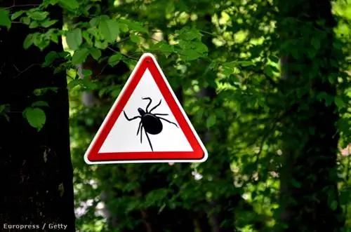 GettyImages-549348125 GettyImages-549348125