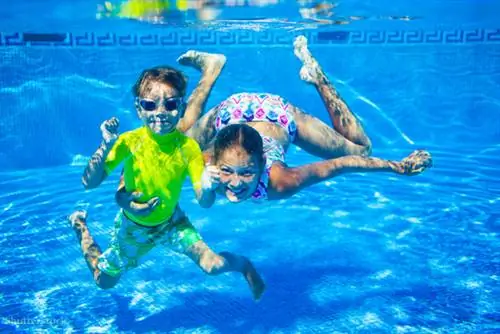 жалюзи 260206478