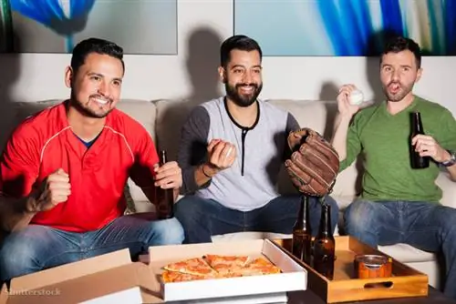 жалюзи 354973118