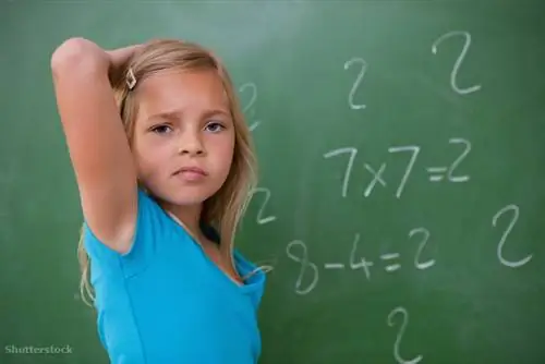 затвор 92394481