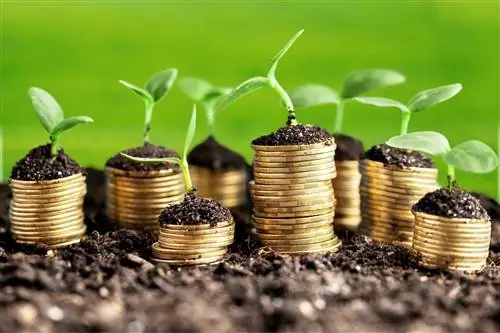 Вот сколько стоит, если вы хотите жить с заботой об окружающей среде