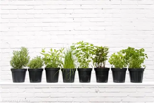 GettyImages-157590503