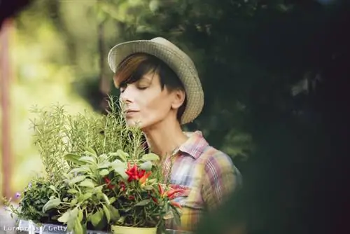 GettyImages-514559407