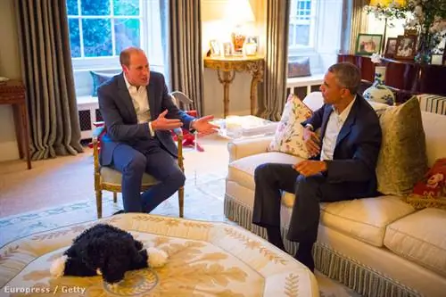 GettyImages-523272578 GettyImages-523272578