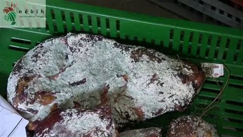 Просроченное мясо также разошлось по детским садам и госучреждениям