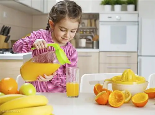 затвор 181664066 затвор 181664066