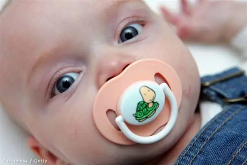 GettyImages-56399249 GettyImages-56399249