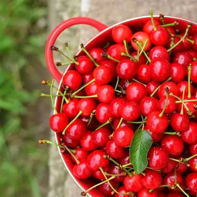 Сезон: 13 кисло-вишневых рецептов
