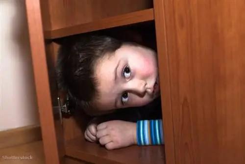 затвор 208876510 затвор 208876510