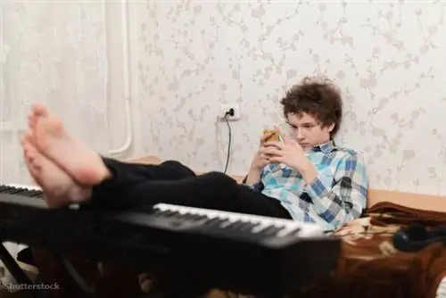 жалюзи 174115952 жалюзи 174115952