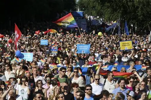 Рекордное количество известных брендов стоит рядом с Budapest Pride