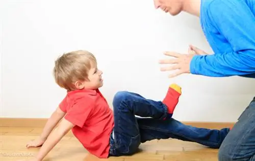 затвор 324766685 затвор 324766685